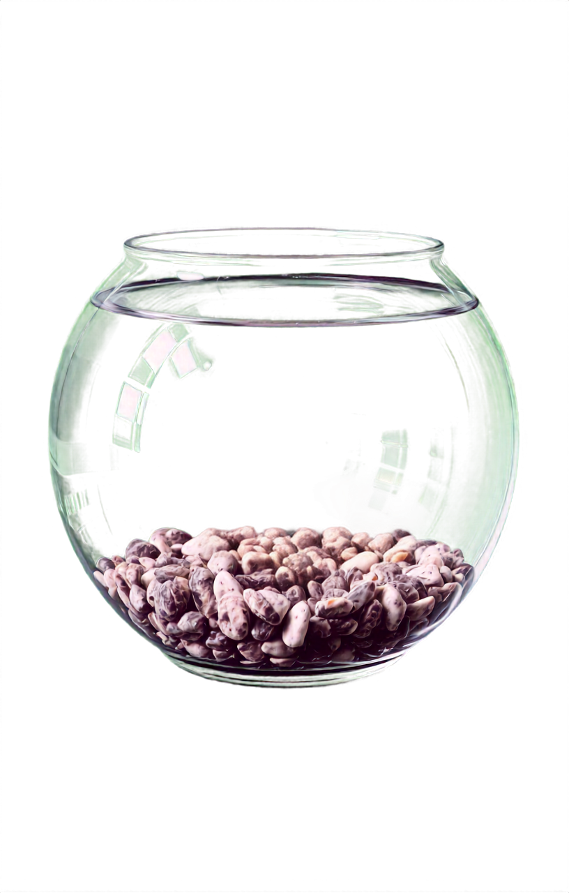 Jasper Cleanup for Glass asset cleanup: transparent hard case