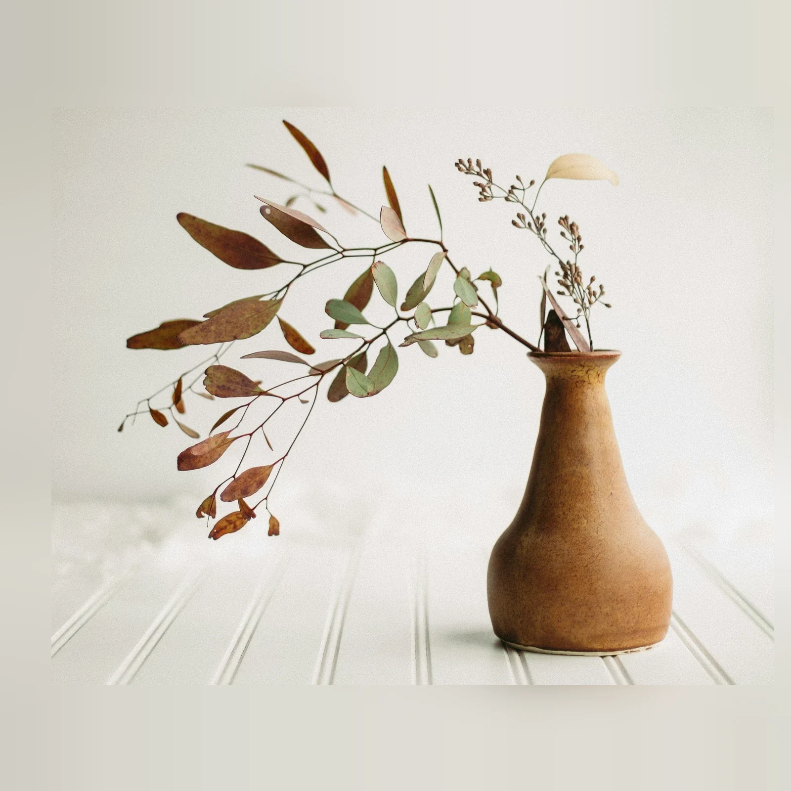 Original source image for Home decor - thin branch silhouette