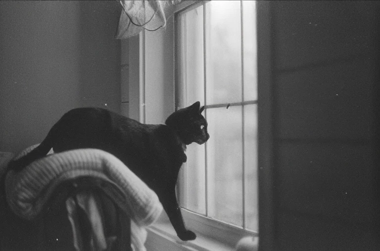 Jasper Upscale output at 3x for Low-light black-and-white scene