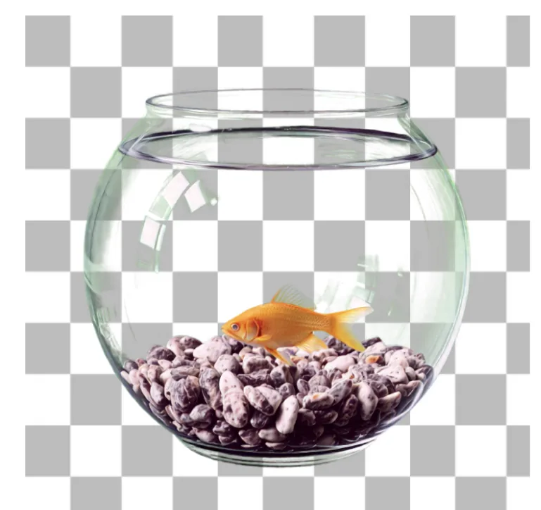 A goldfish in a transparent glass bowl, shown on a checkerboard to indicate the transparent background of the source PNG.
